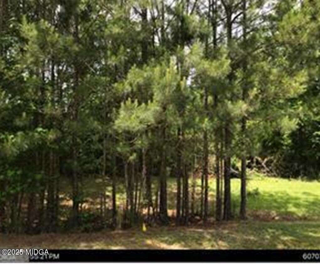 Windward · 417 Lake Waters Pointe, Lizella, GA 31052
