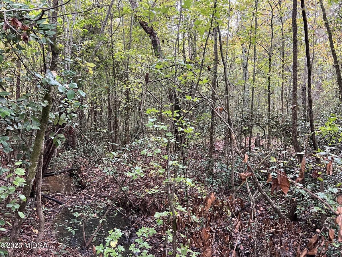 Clinton Crossing · 0 Clinton Crossing Drive, Gray, GA 31032
