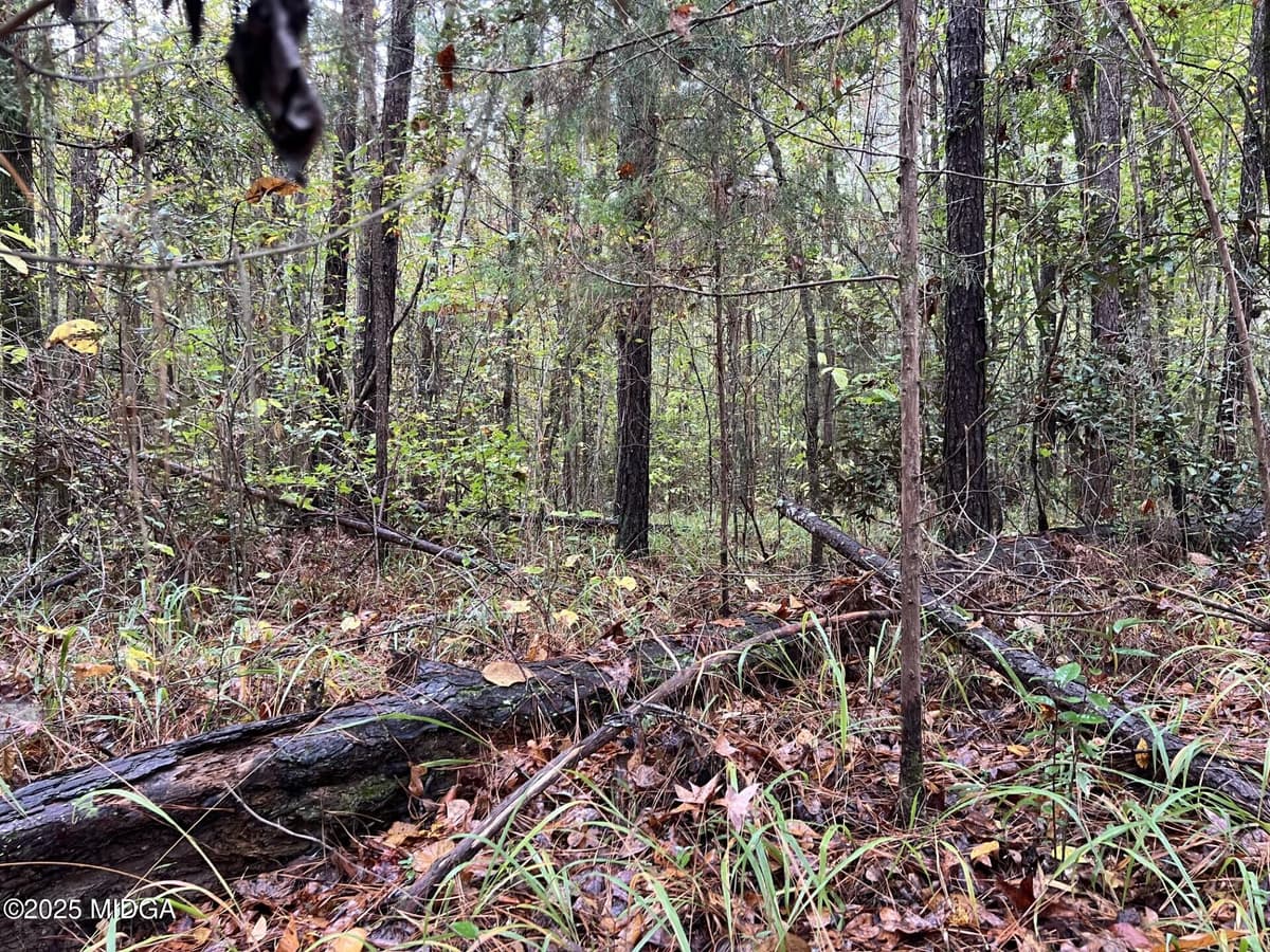 Clinton Crossing · 266 Clinton Crossing Drive, Gray, GA 31032