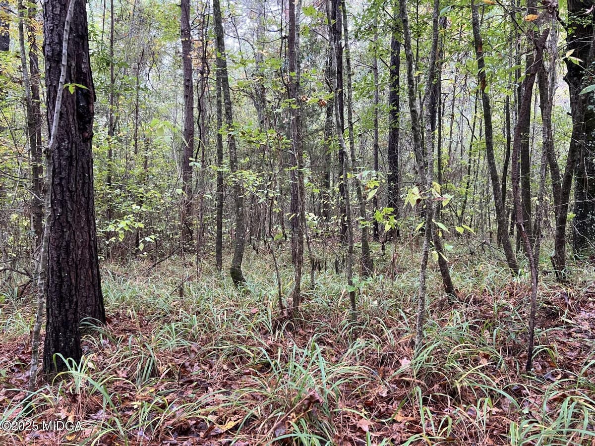 Clinton Crossing · 140 Lite N Tie Road, Gray, GA 31032