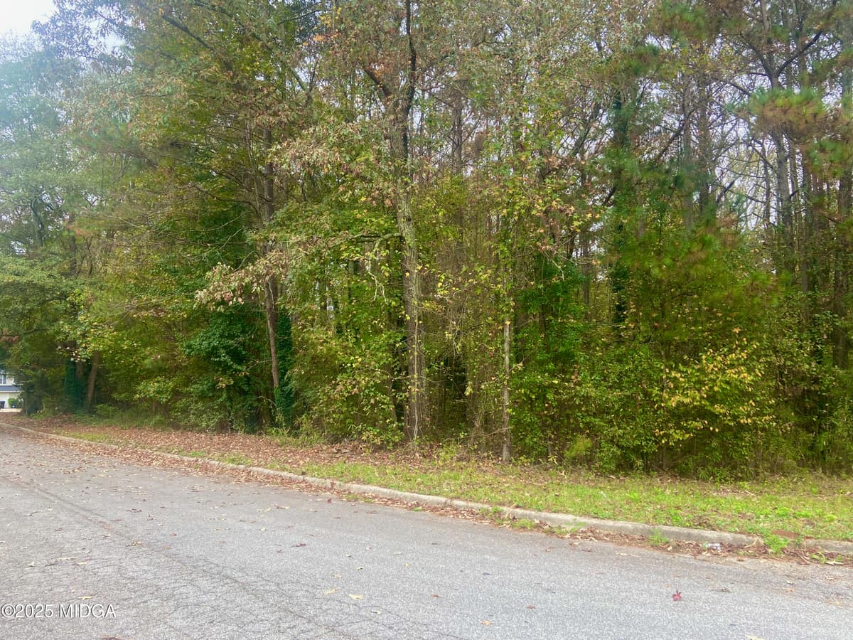 Not in Subdivision · 0 Chimney Smoke Drive, Stockbridge, GA 30281