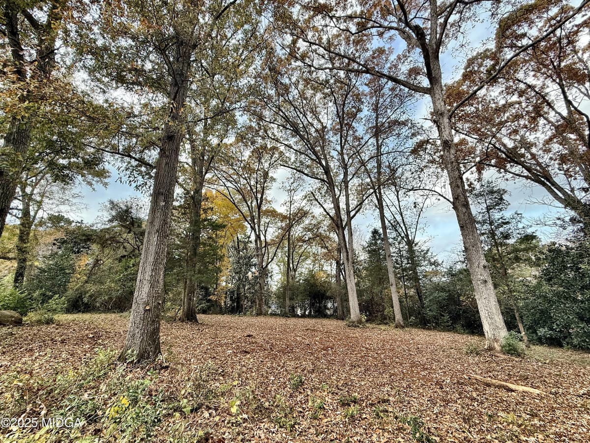 Not in Subdivision · 0 S S Lee St Street, Forsyth, GA 31029
