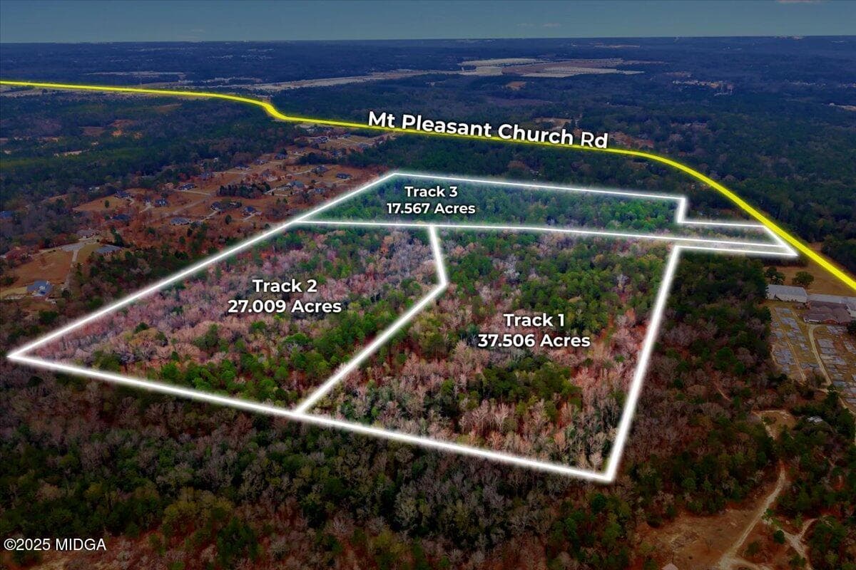 Not in Subdivision · 5385 Mt Pleasant Church Road, Parcel 3, Macon, GA 31216