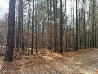 Stage Coach Estates · E-1 Colonial East Drive, Macon, GA 31211