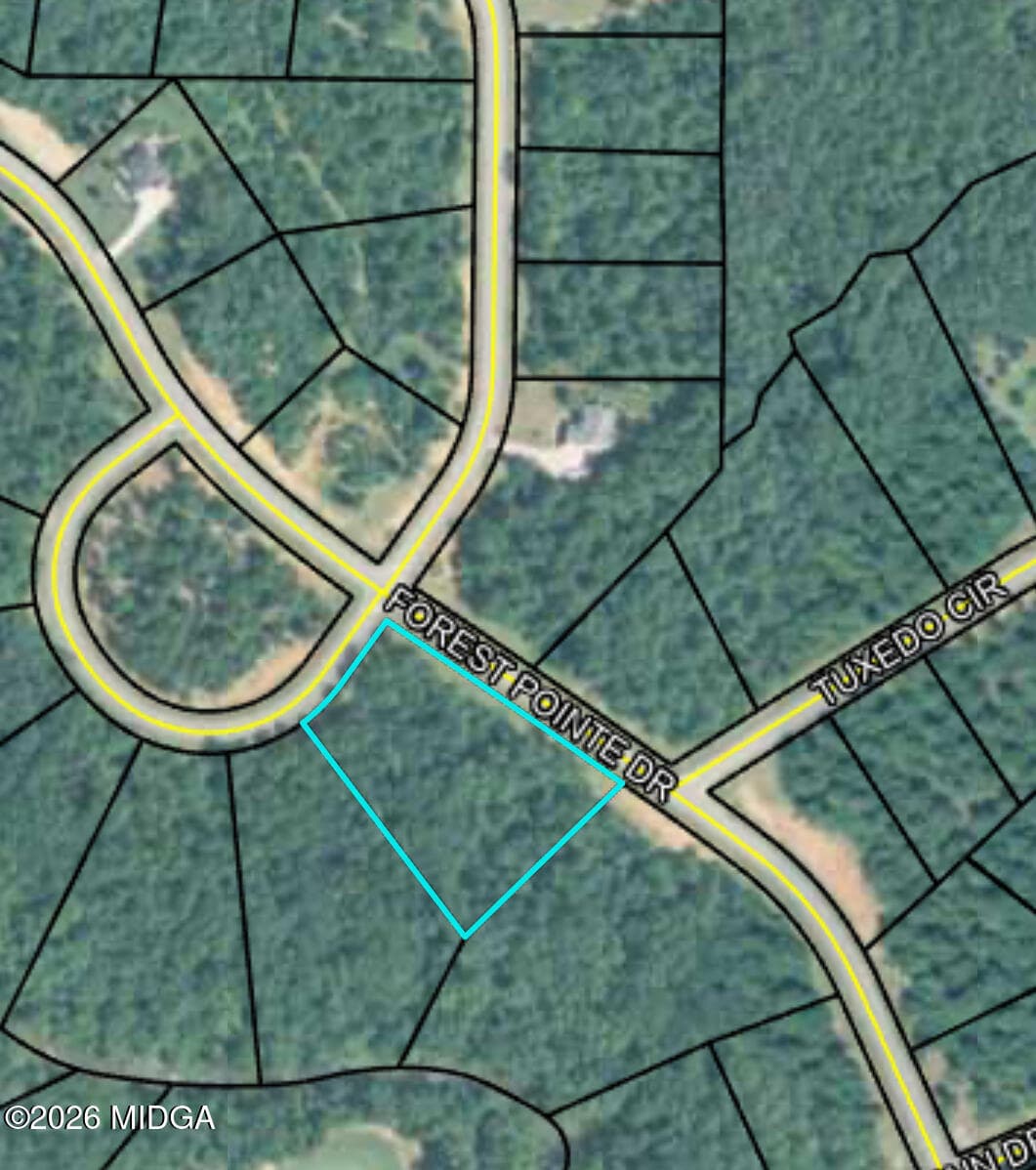 River Forest · 207 Forest Pointe Drive, Forsyth, GA 31029