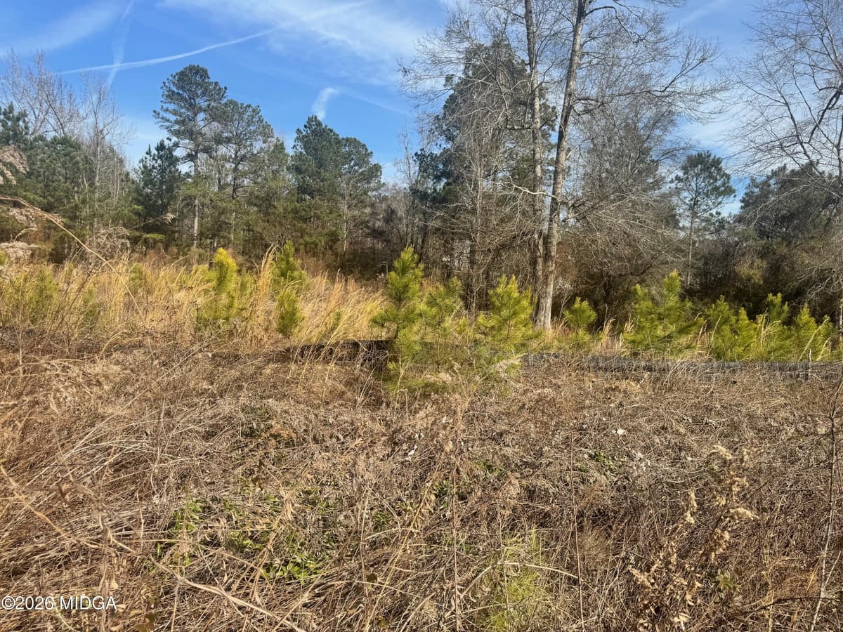 Tobee Creek · 411 Big Oak Circle, Lizella, GA 31052