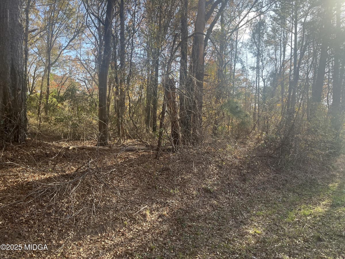 Not in Subdivision · 00 AC Court, Jeffersonville, GA 31044