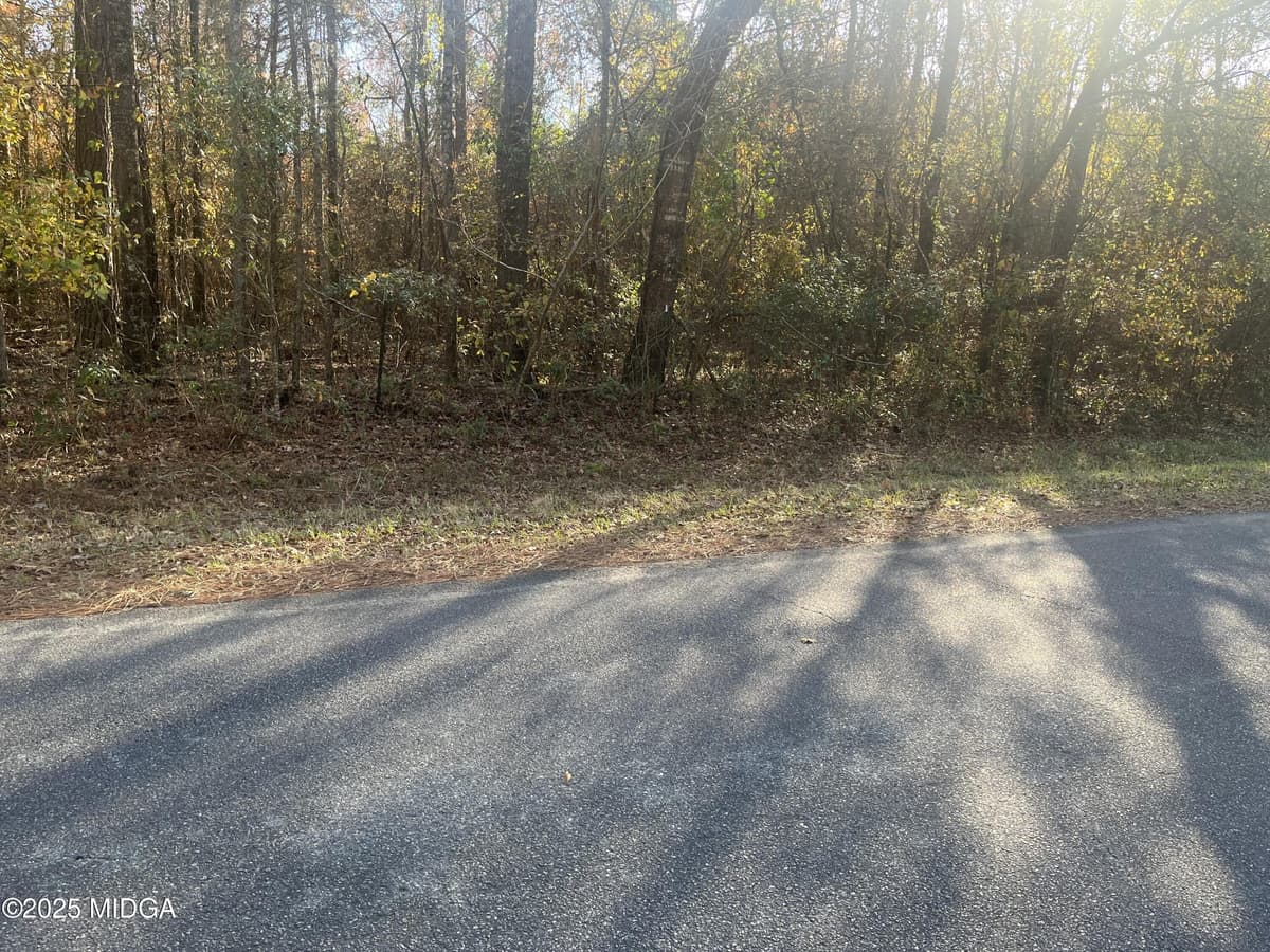 Not in Subdivision · 0 Al Court, Jeffersonville, GA 31044