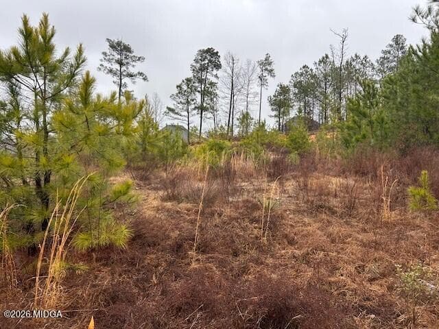 Treetops · 250 Shoreline Way, Macon, GA 31220