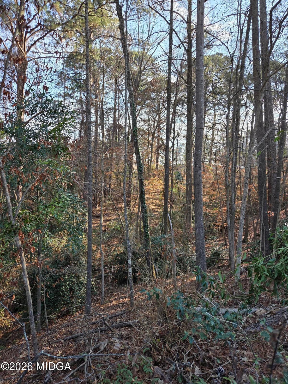 Wood Valley · 1987 Long Ridge Drive, Macon, GA 31211