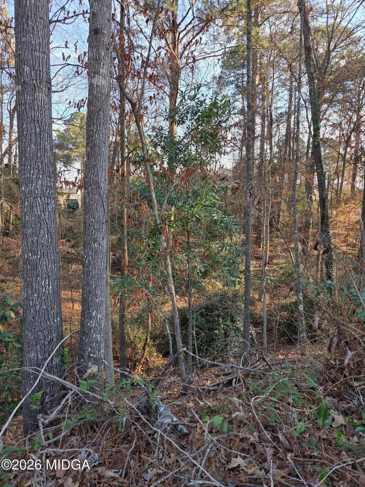 Wood Valley · 1976 Long Ridge Drive, Macon, GA 31211