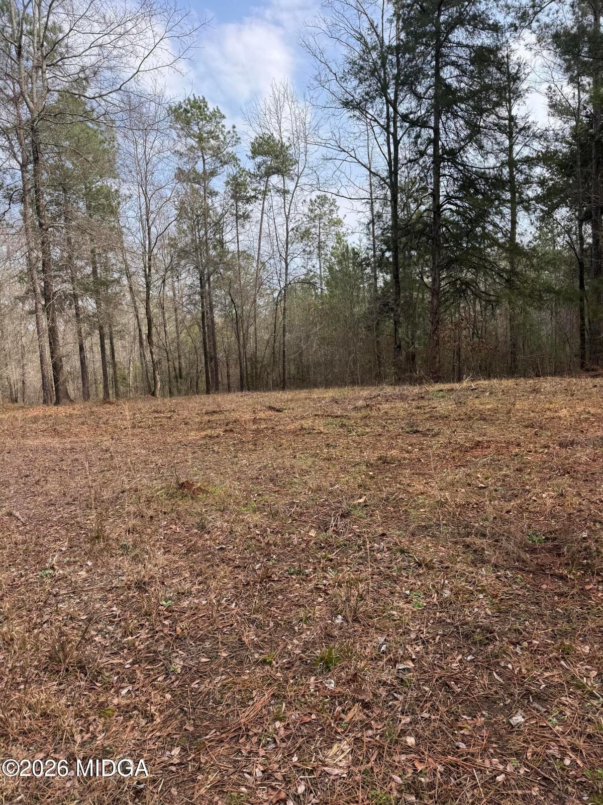Not in Subdivision · 0 Highway 87, Juliette, GA 31046
