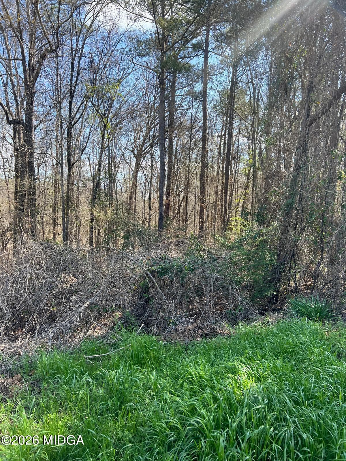 Northridge · 250 Northridge Drive, Macon, GA 31220