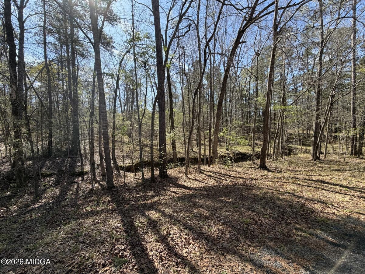 Not in Subdivision · 0 Welker Circle, Macon, GA 31211