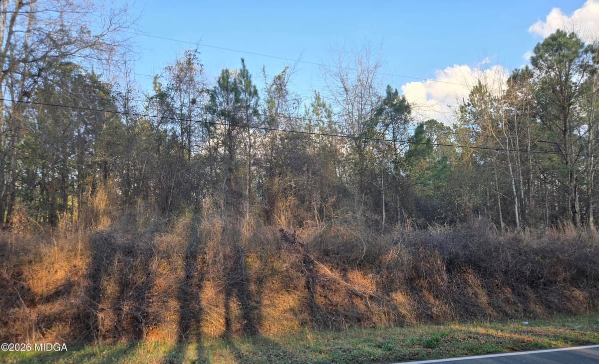 Willow Lake · 0000 Willow Lake Road, Fort Valley, GA 31030