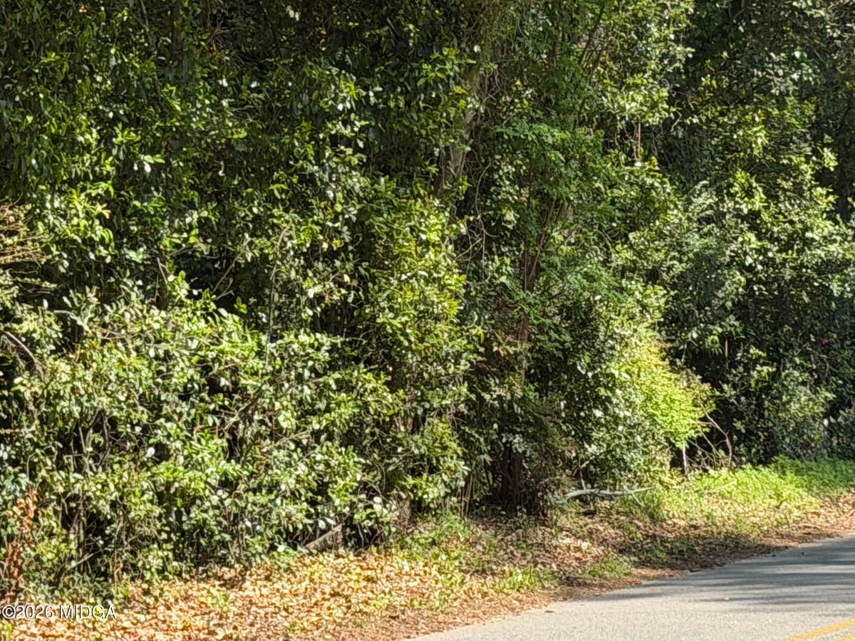 Vineville Historic District · 3770 Overlook Drive, Macon, GA 31204