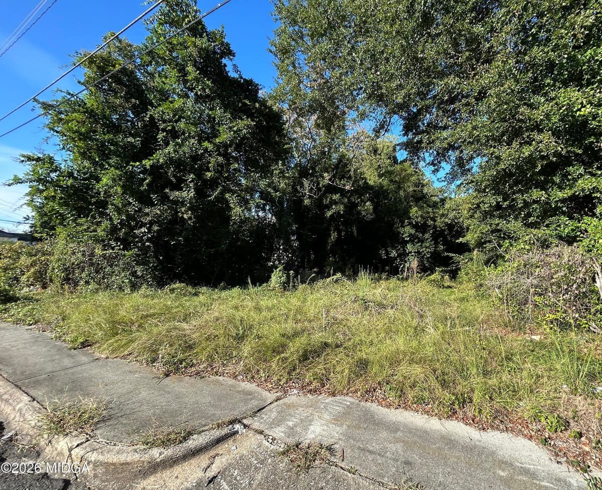 Shurlington · 734 Fort Hill Street, Macon, GA 31217