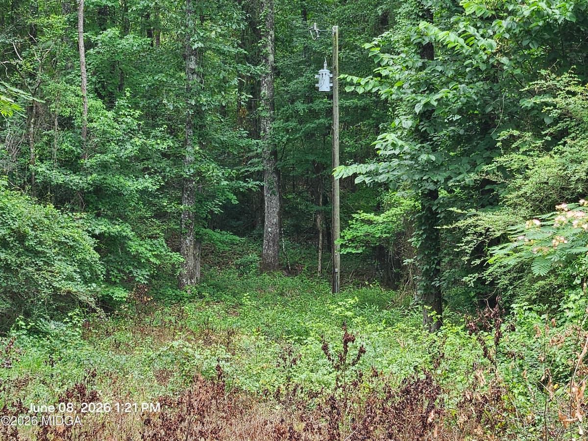 Not in Subdivision · 0 Davis Road, Macon, GA 31217