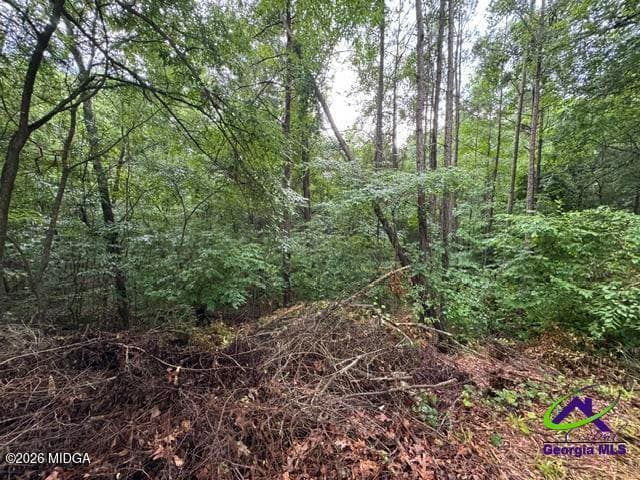 Windward · 172 Waters Point, Lizella, GA 31052
