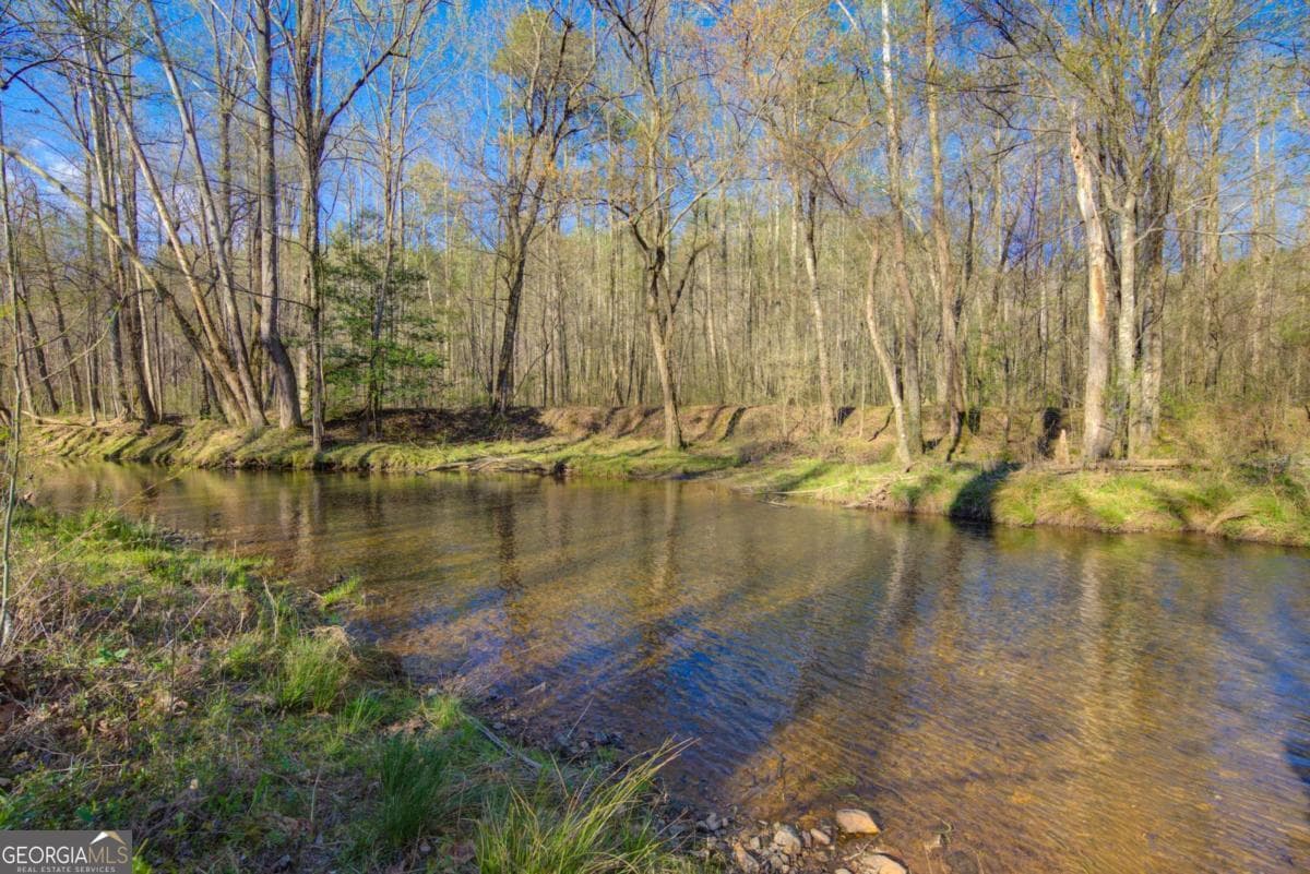 9031 Steve Tate Highway, Dawsonville GA 30534