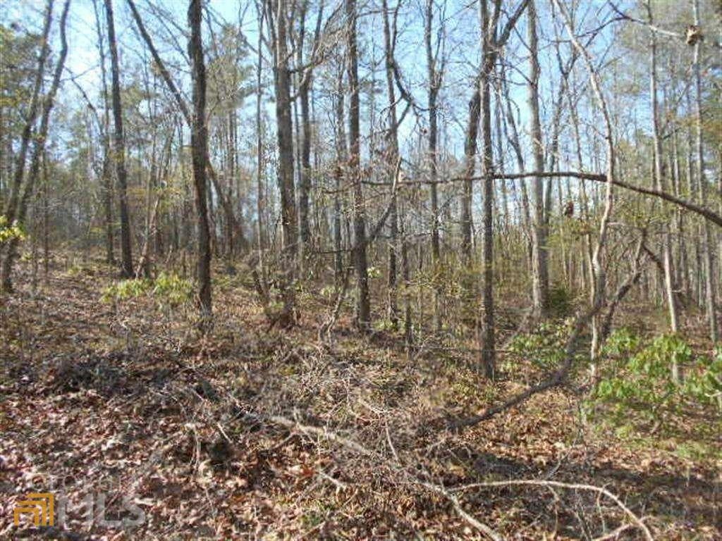 0 Nebo Road, Dallas GA 30141