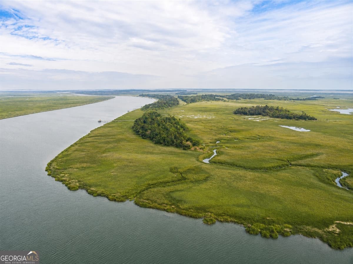 Barbour Island · 0 Lower Barbour Island, Townsend GA 31331
