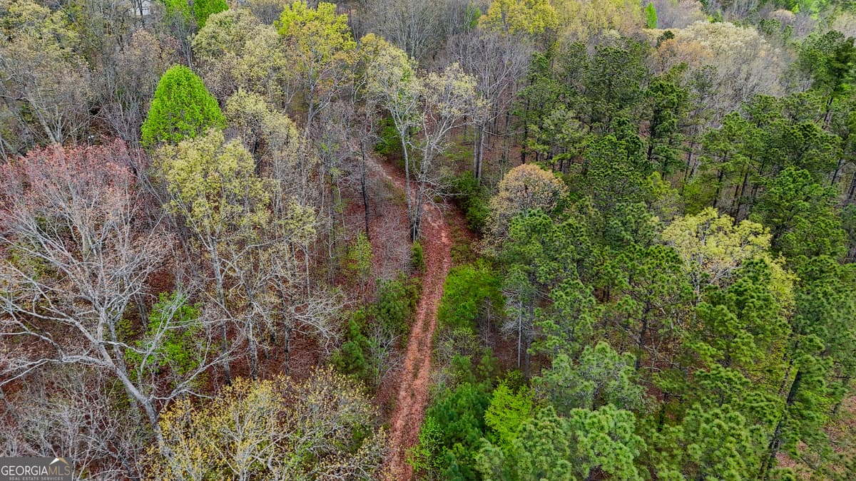 78 ACRES Cross Plains Road, Carrollton GA 30116