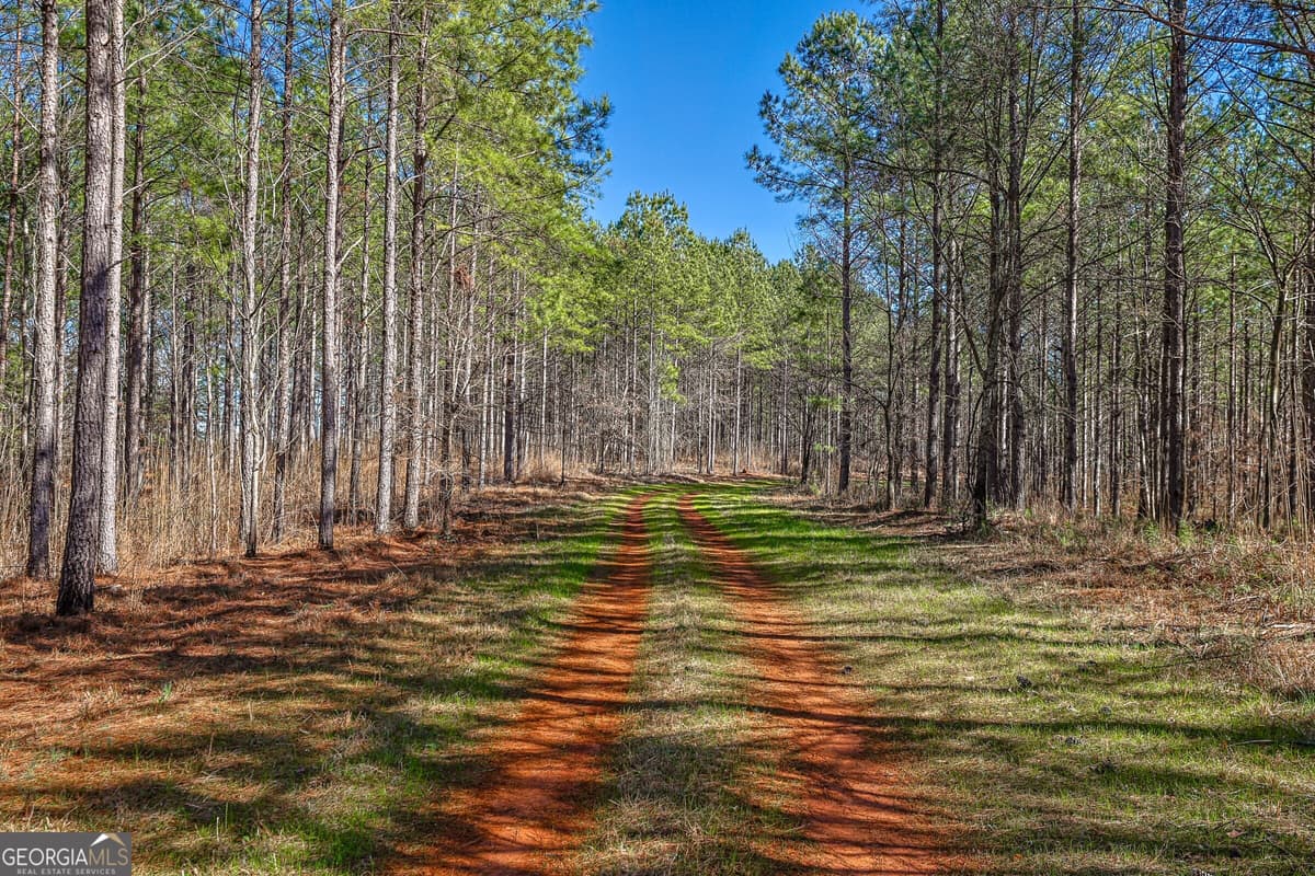 0 Old Zebulon Road, Forsyth GA 31029