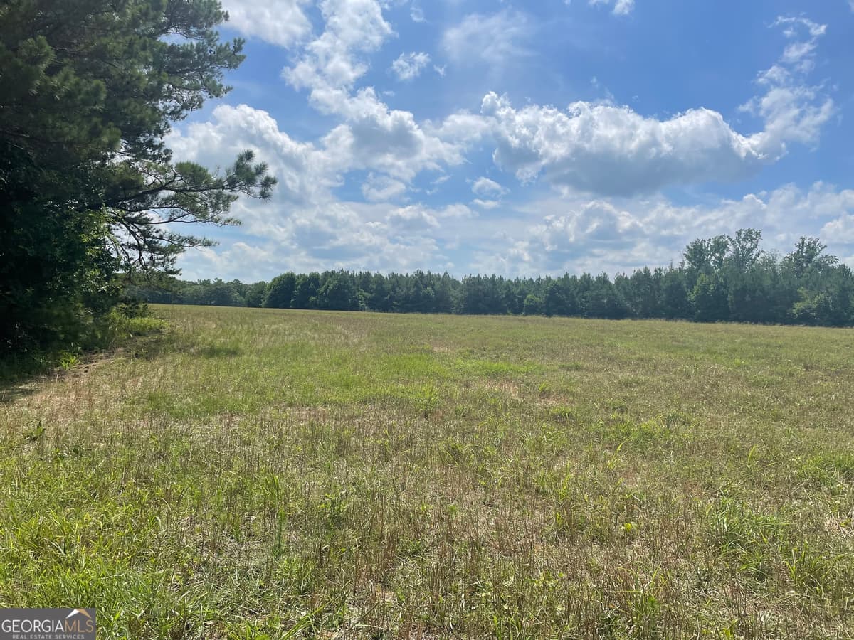 0 Cannon Road, Sharpsburg GA 30277