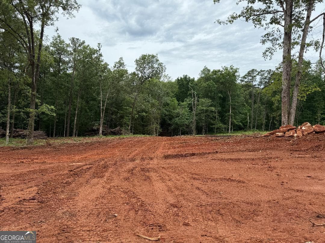 Southeast Monroe County · 436 Magnolia Lane, Forsyth GA 31029