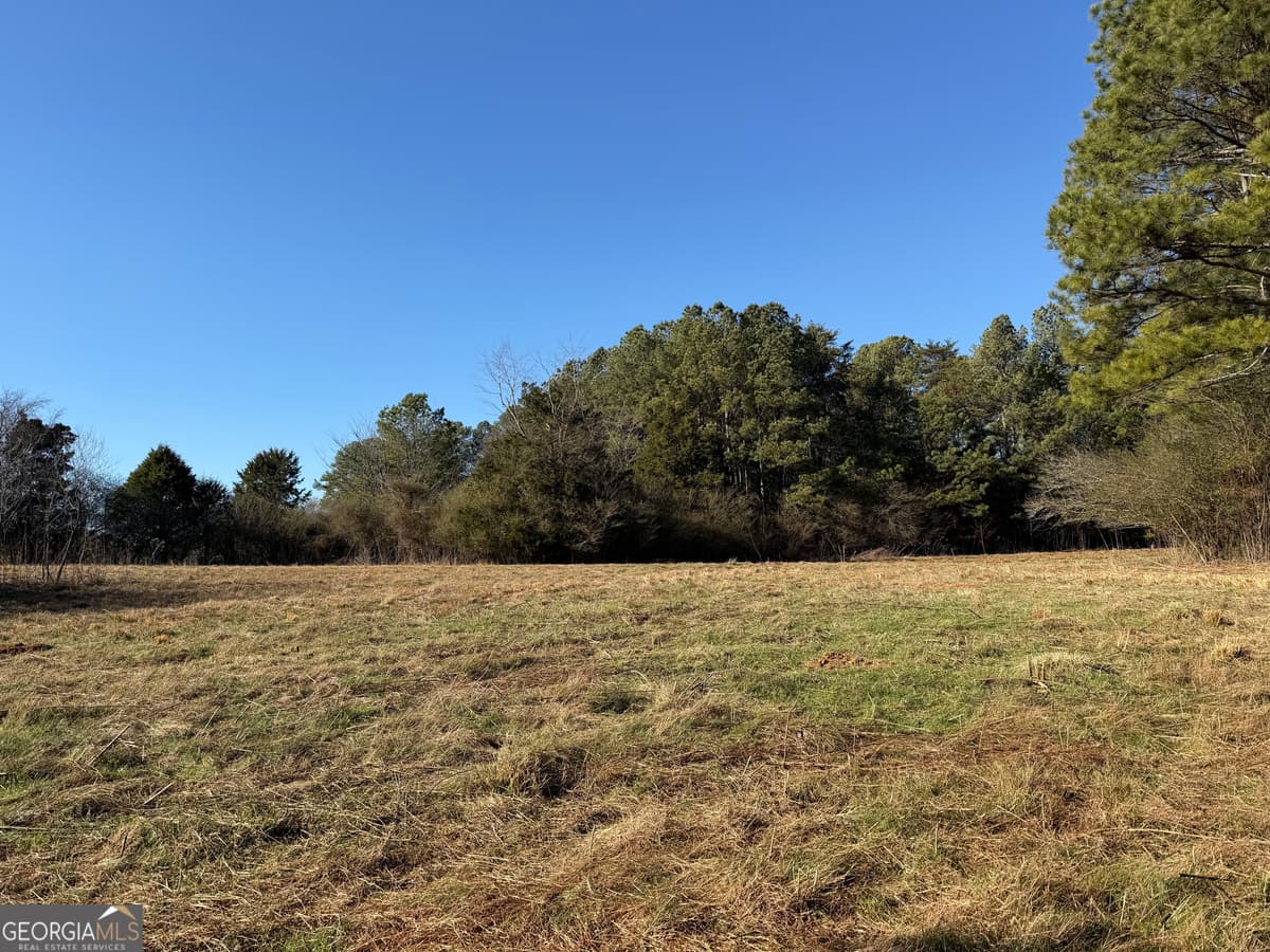0 Liberty Church Road, Ranger GA 30734
