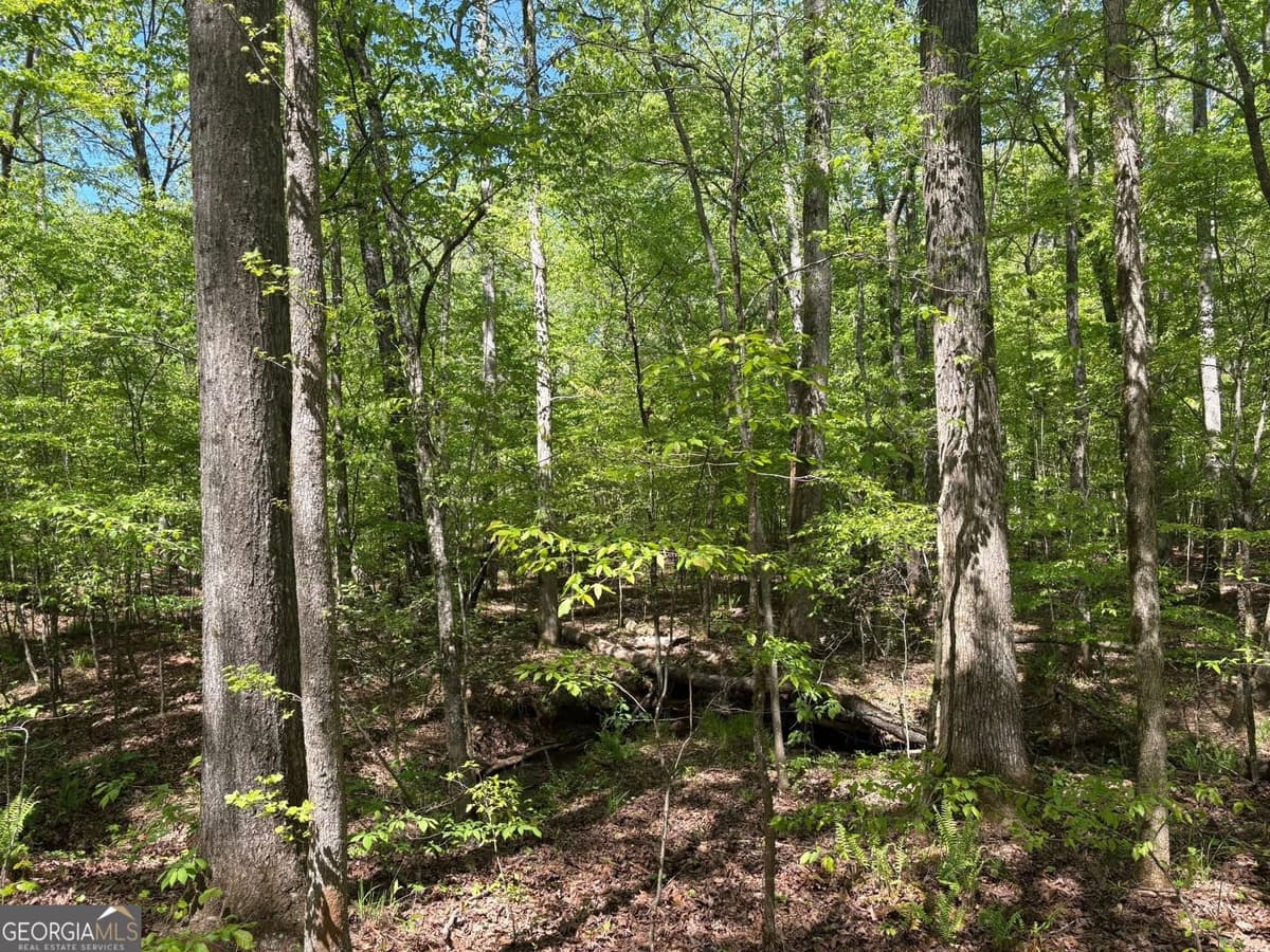 0 OFF North Taylor Road, Woodland GA 31836