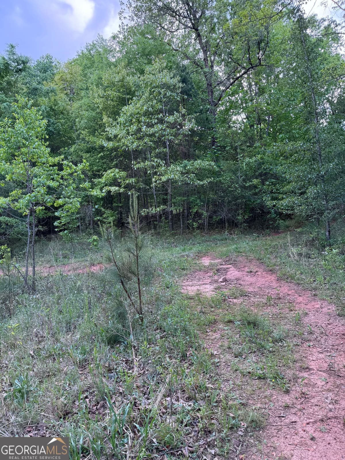 637 Brookdale Road, Toccoa GA 30577