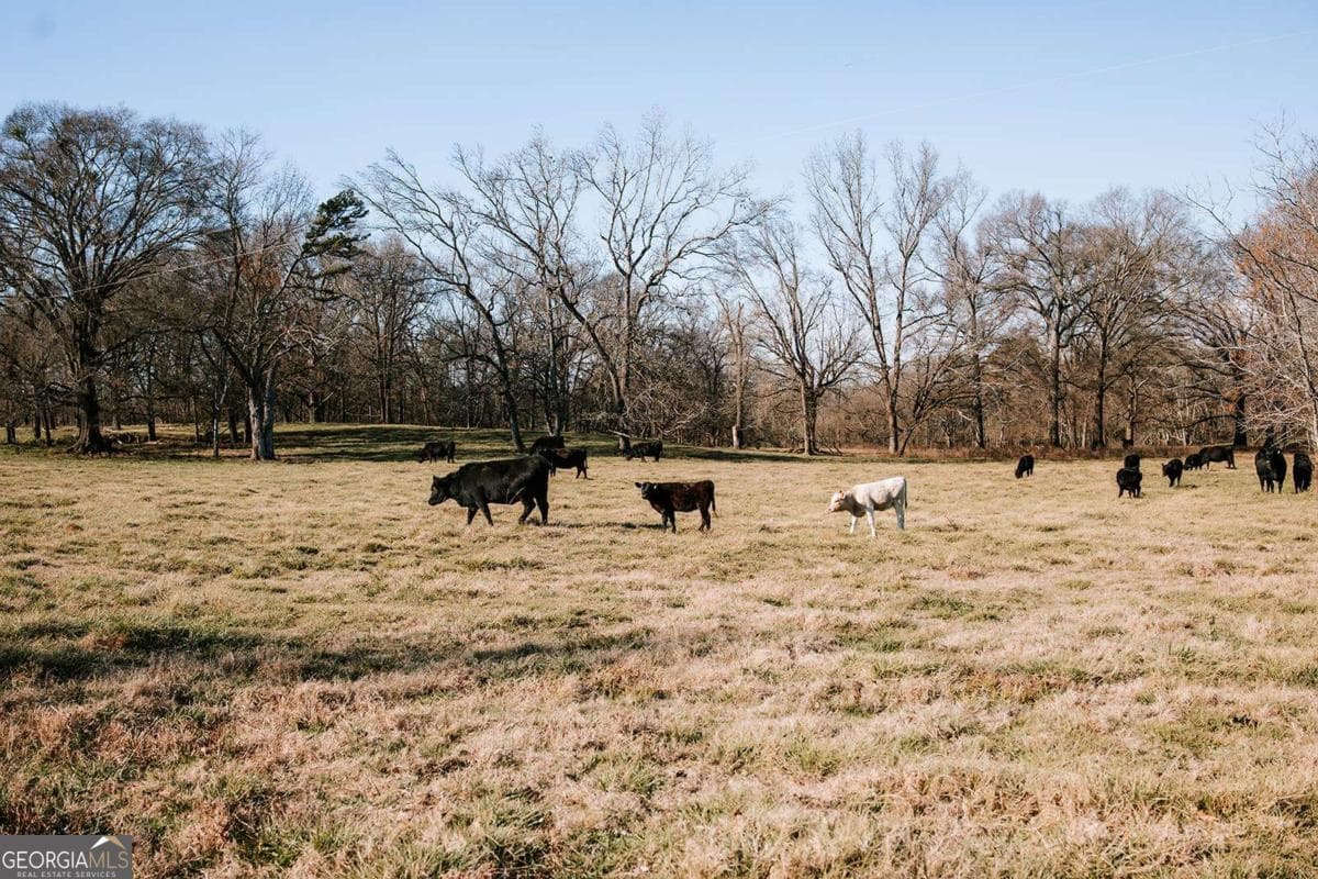 0 Crawfordville Road, Stephens GA 30667