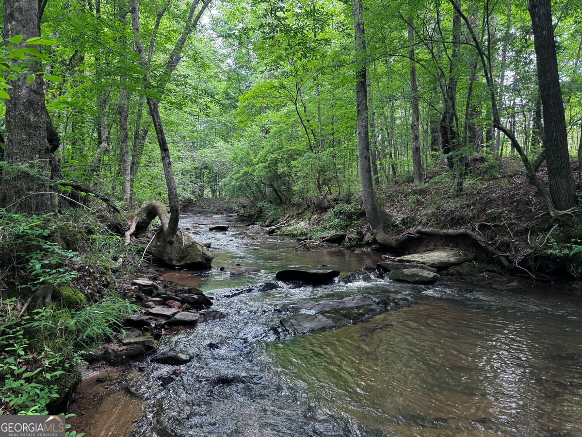 715+/- AC Ridgeway Road, Franklin GA 30217