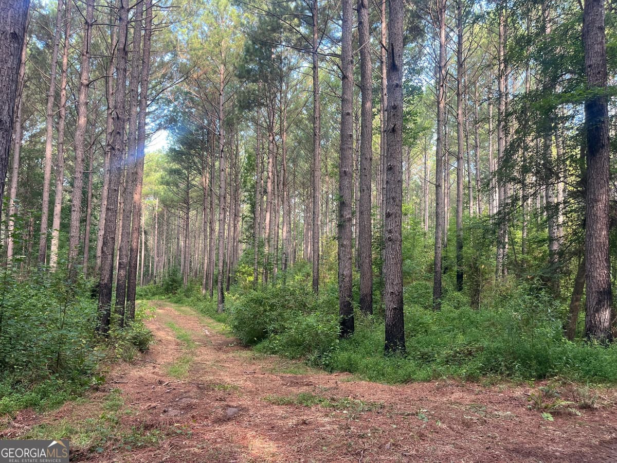 0 Alverson Road, Mountville GA 30261