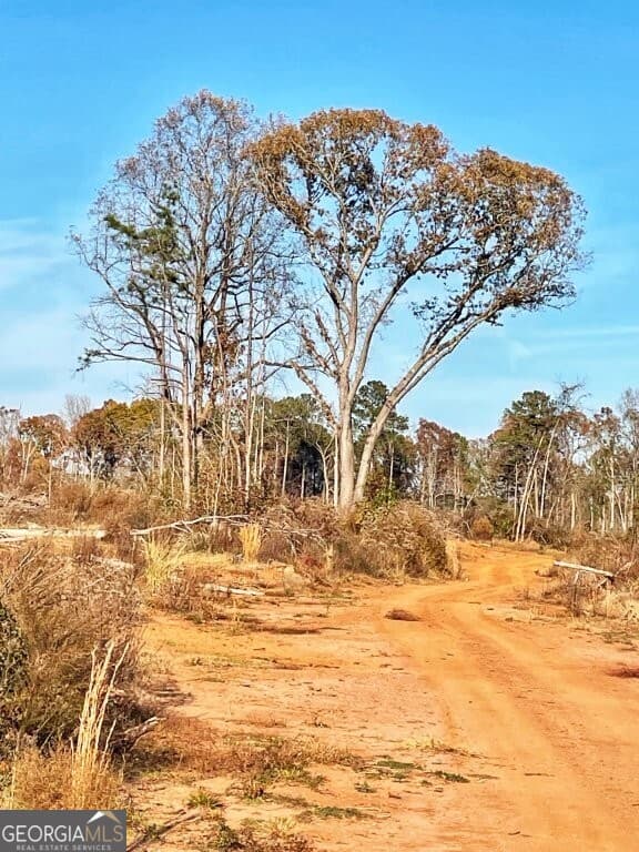 0 Fullerton-Phillips & Greer Road, Hillsboro GA 31038