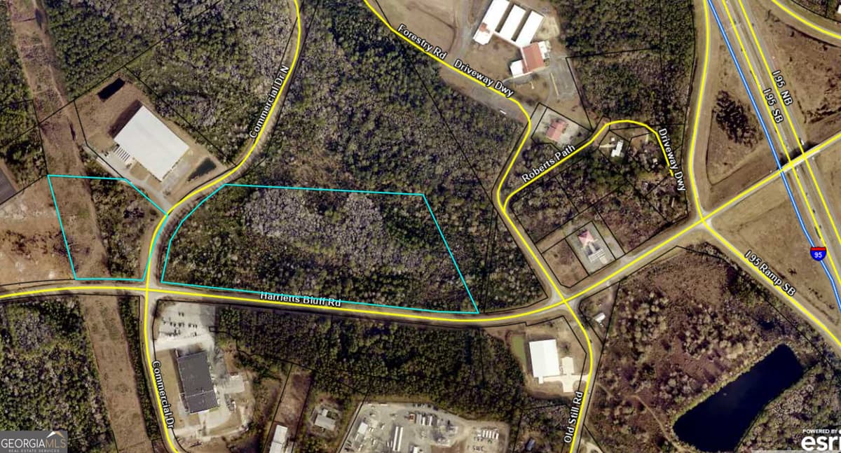 0 Harrietts Bluff Road, Kingsland GA 31548