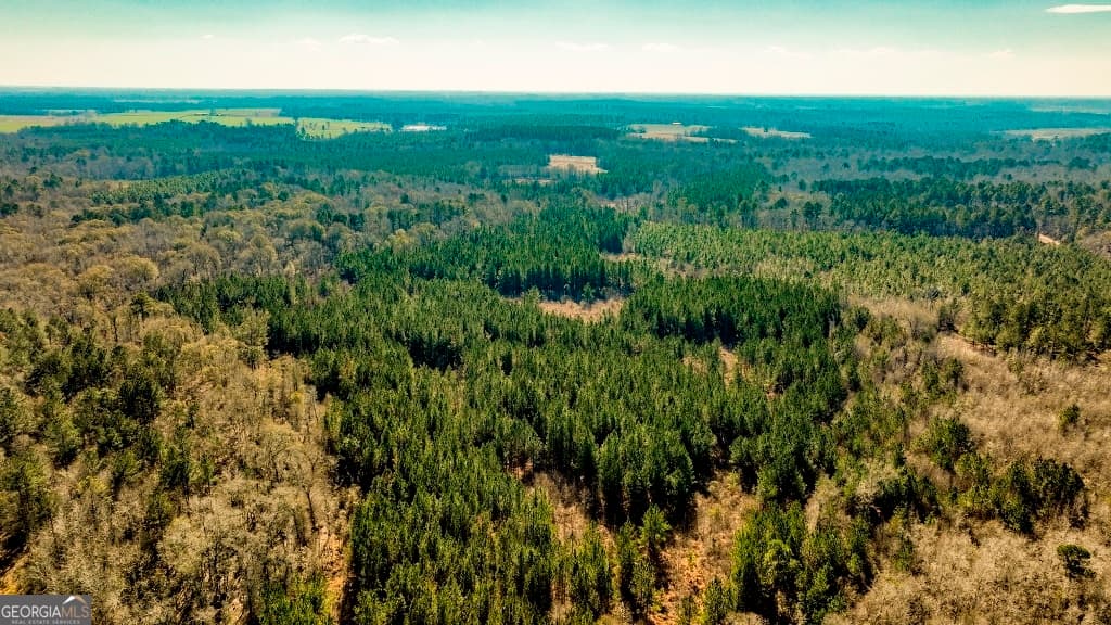 0 Crooked Road, Millen GA 30442