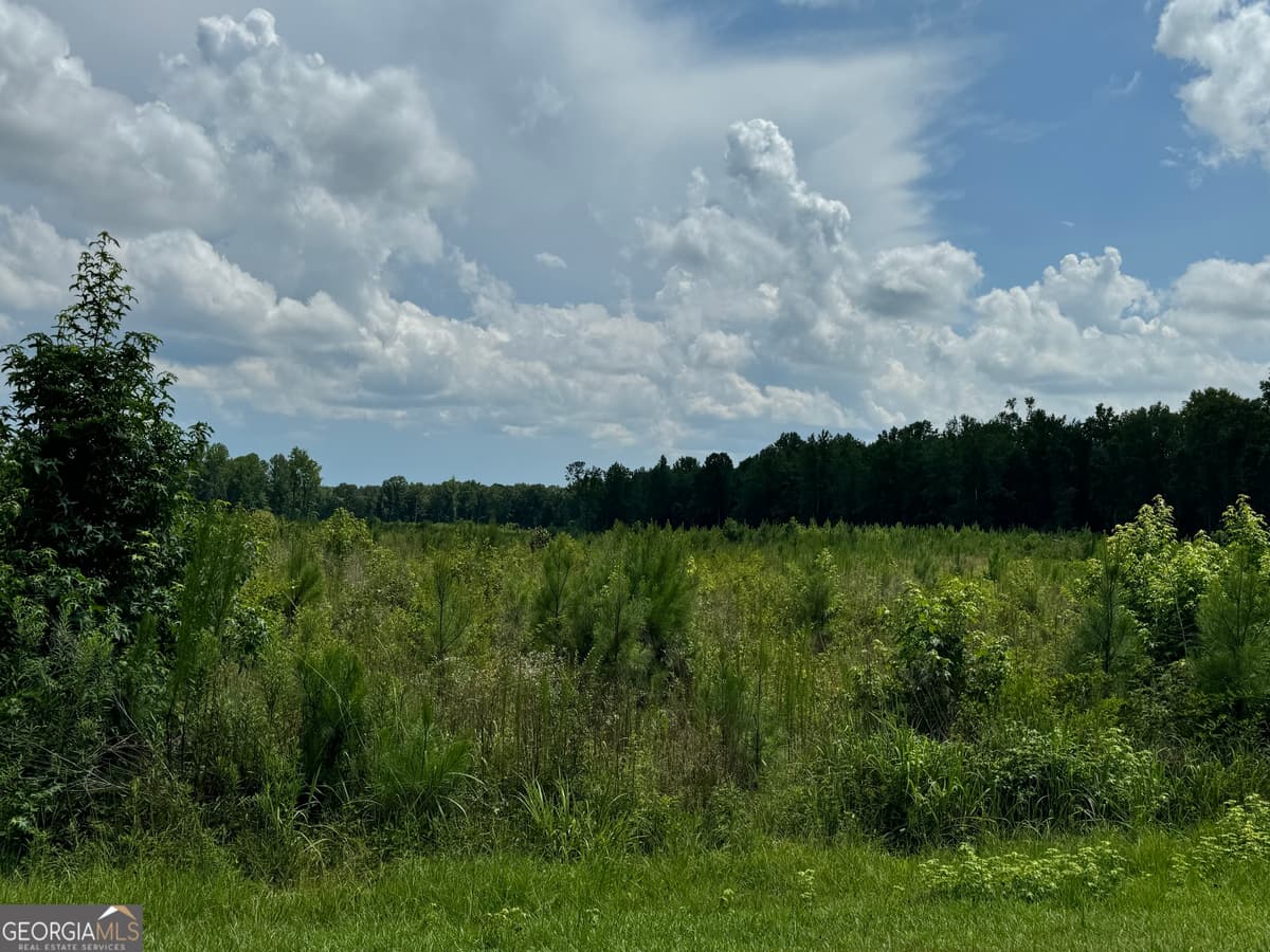 3854 Us Hwy 19, Meansville GA 30256