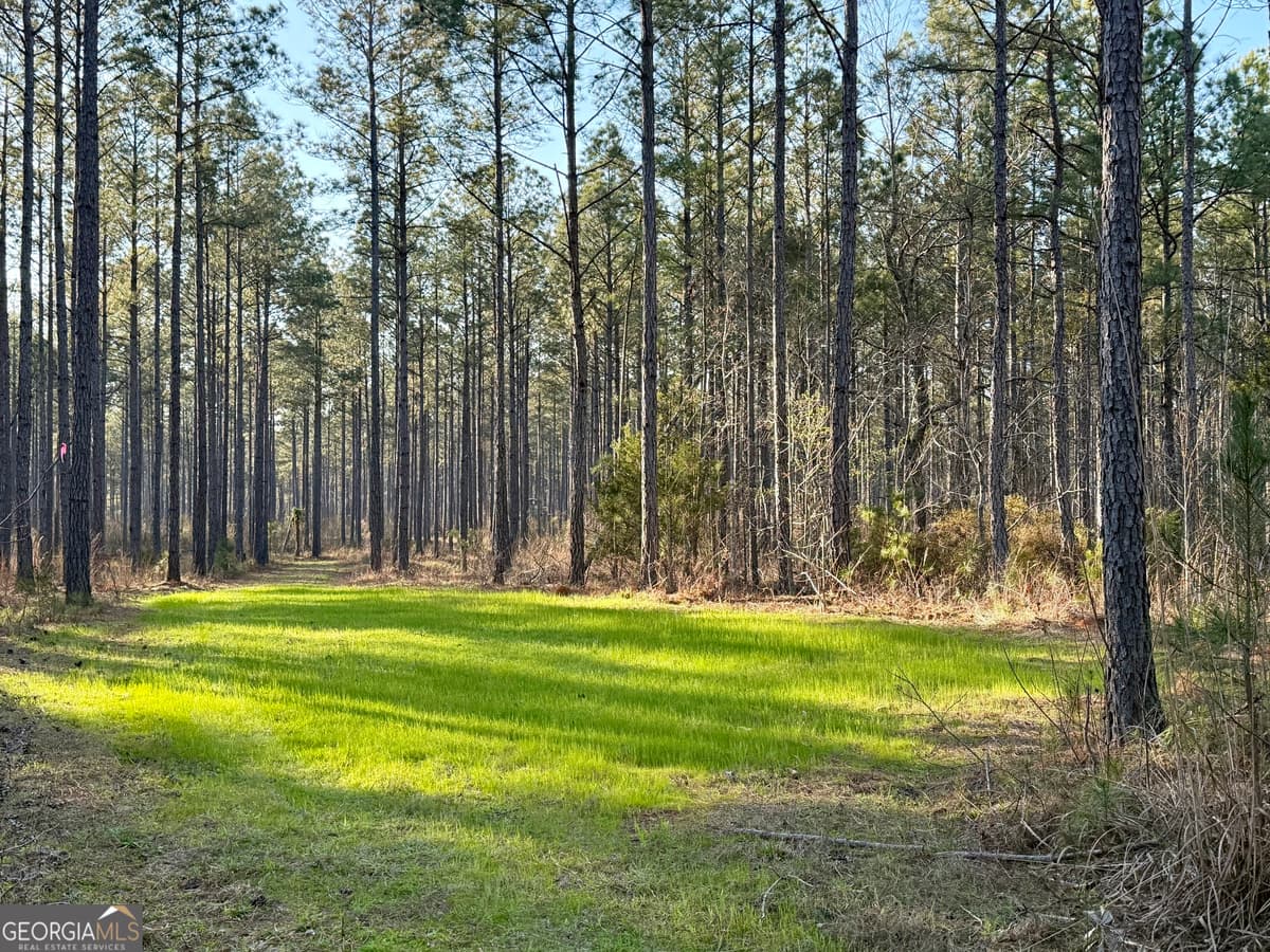 0 Highway 28, Abbeville SC 29620