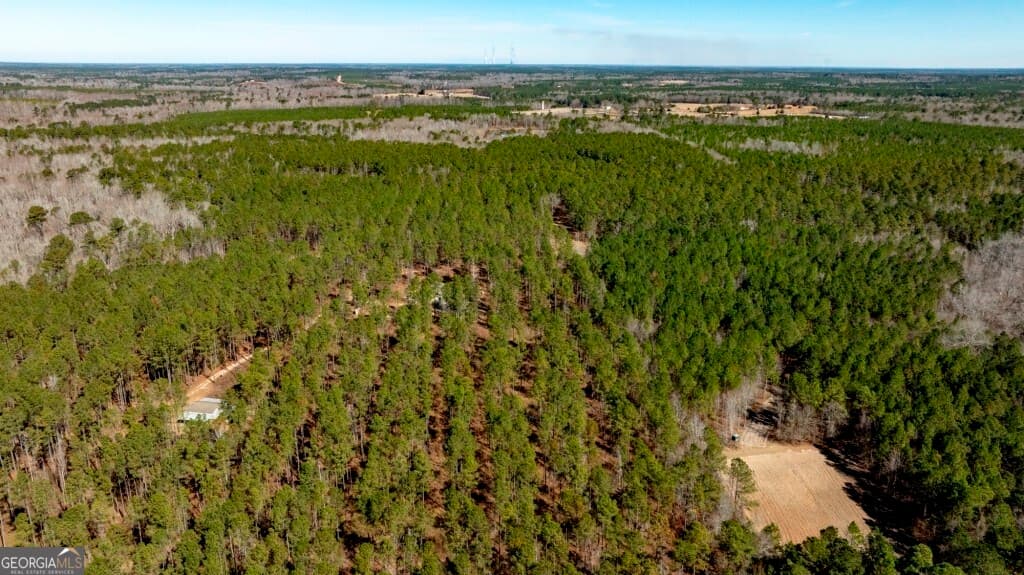 1401 Messex Road, Millen GA 30442