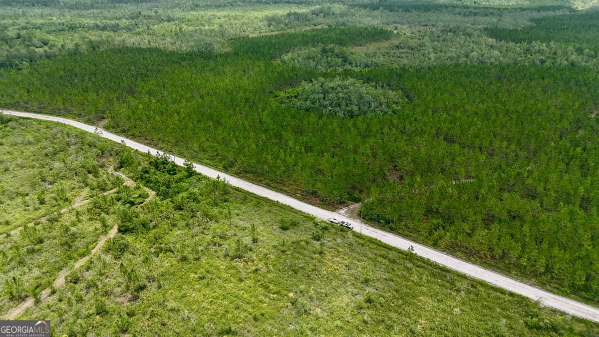 0 Fire Tower Road, Manor GA 31550