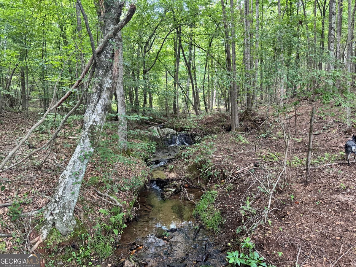 319 +/- AC Hwy 100, Franklin GA 30217