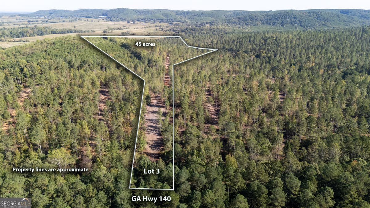 PINE LOG ESTATES · 3793 HWY 140 NE, Rydal GA 30171