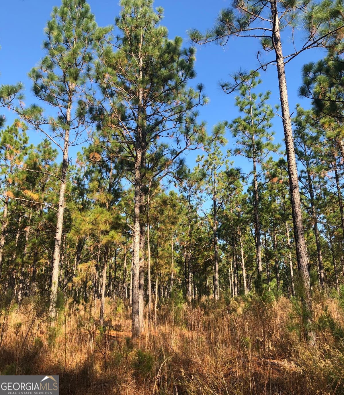 1400 Mount Olive Road, Dublin GA 31021