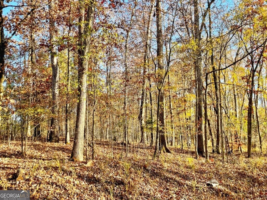 0 Fullerton-Phillips Road, Hillsboro GA 31038