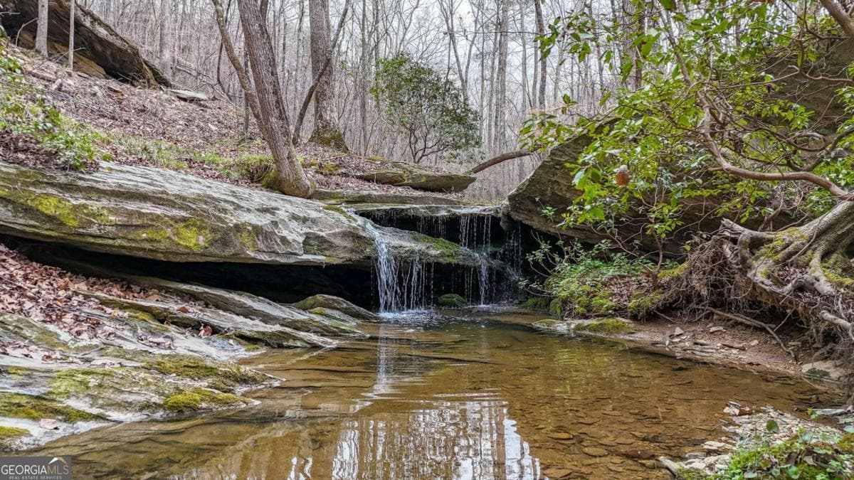 B.M. Jones · 0 Felton Rockmart Road, Buchanan GA 30113