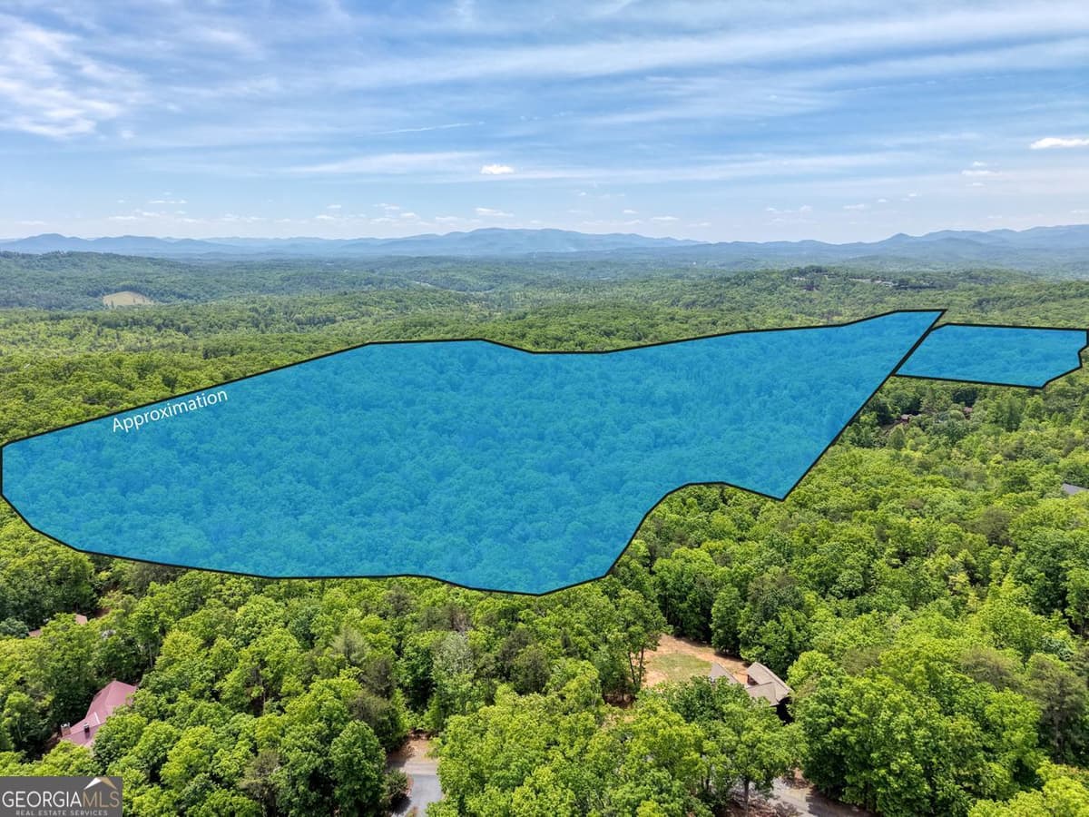 57.30 AC Stuart View, Mineral Bluff GA 30559