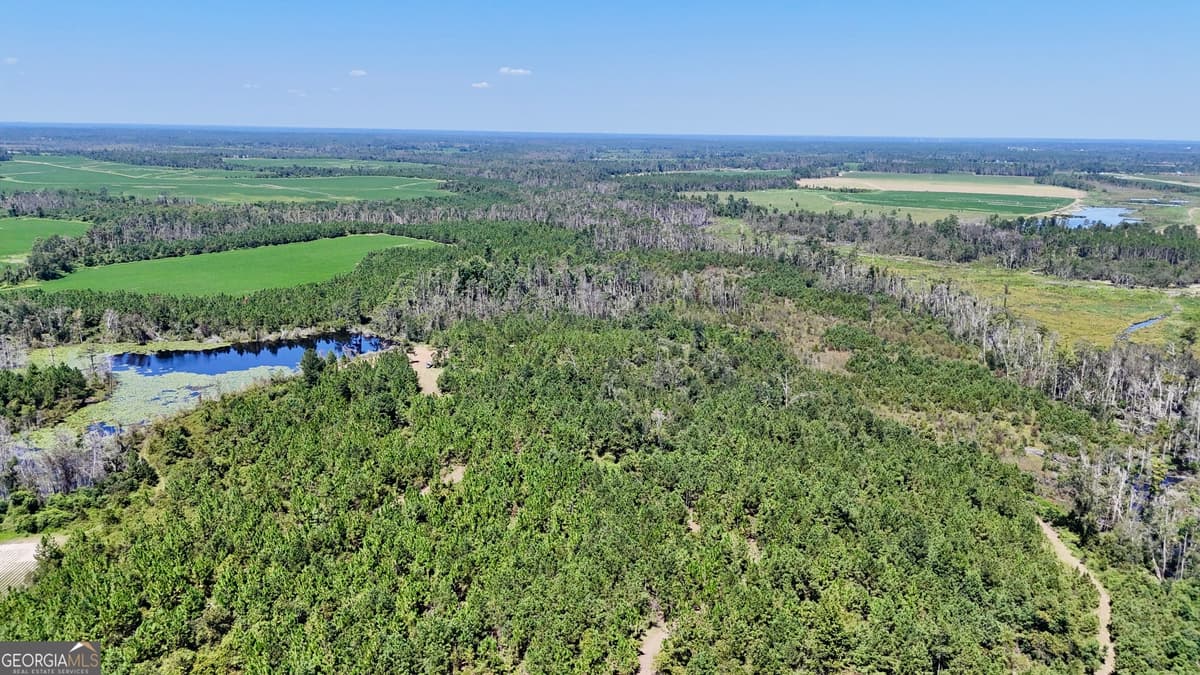 TRACT 2 Rhonda Coleman Road, Hazlehurst GA 31539